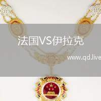 法国VS伊拉克