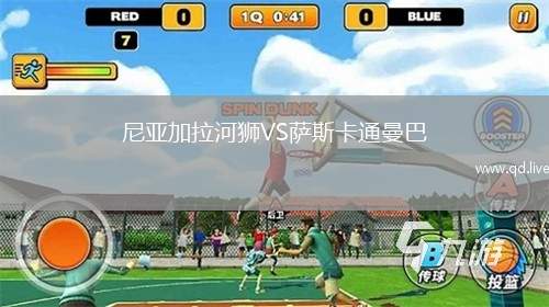 尼亚加拉河狮VS萨斯卡通曼巴