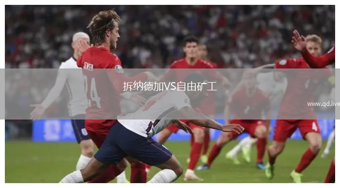 拆纳德加VS自由矿工