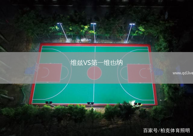 维兹VS第一维也纳