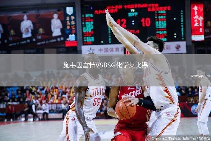 施韦因富特VSBSG化学莱比锡