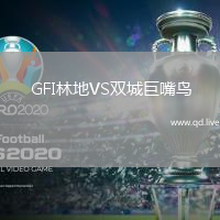 GFI林地VS双城巨嘴鸟