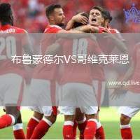 布鲁蒙德尔VS哥维克莱恩