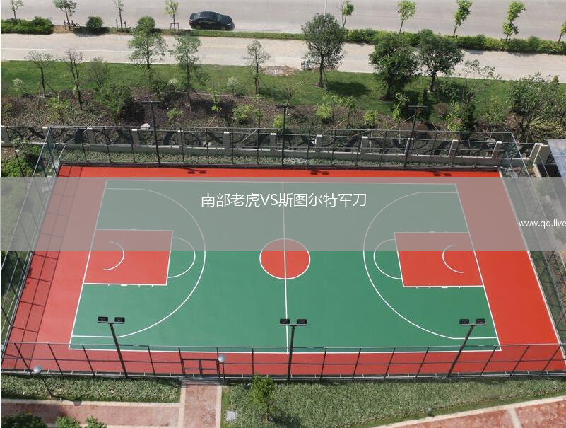 南部老虎VS斯图尔特军刀