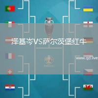 泽基岑VS萨尔茨堡红牛