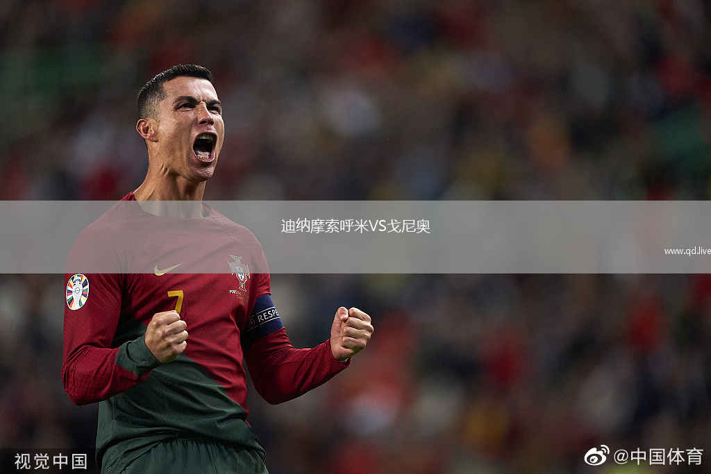 迪纳摩索呼米VS戈尼奥