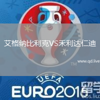 艾格纳比利克VS禾利达仁迪