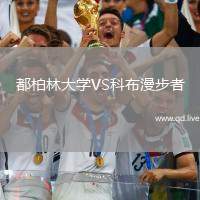 都柏林大学VS科布漫步者