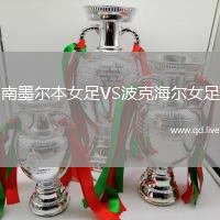 南墨尔本女足VS波克海尔女足