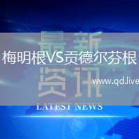 梅明根VS贡德尔芬根