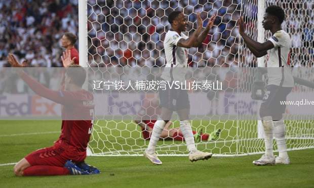 辽宁铁人楠波湾VS山东泰山