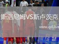 斯洛尼姆VS斯卢茨克