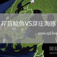 芹苴鲶鱼VS芽庄海豚