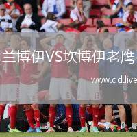 兰博伊VS坎博伊老鹰