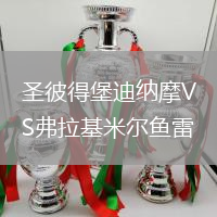 圣彼得堡迪纳摩VS弗拉基米尔鱼雷