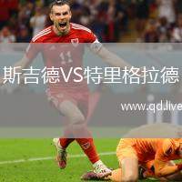 斯吉德VS特里格拉德