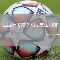 达拉斯飞翼VS明尼苏达山猫