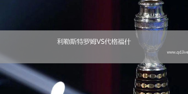 利勒斯特罗姆VS代格福什