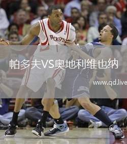 帕多夫VS奥地利维也纳