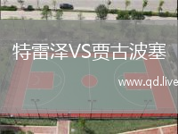 特雷泽VS贾古波塞