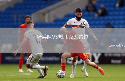 骑兵队VS魁北克苏普拉