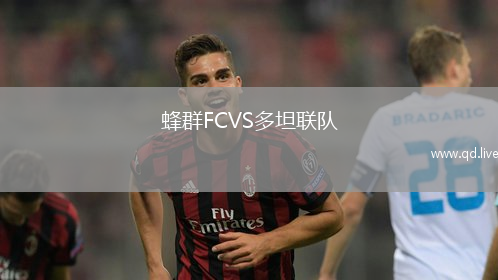 蜂群FCVS多坦联队