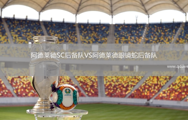 阿德莱德SC后备队VS阿德莱德眼镜蛇后备队