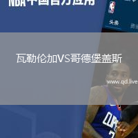 瓦勒伦加VS哥德堡盖斯