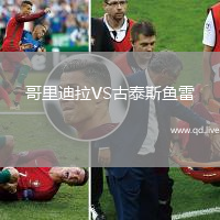 哥里迪拉VS古泰斯鱼雷