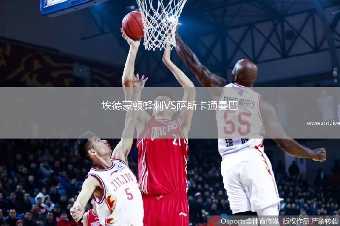 埃德蒙顿蜂刺VS萨斯卡通曼巴