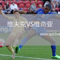 维夫克VS维奇亚